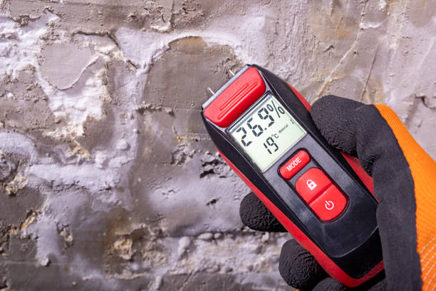 Crawl Space Mold Removal in Rogers, TX