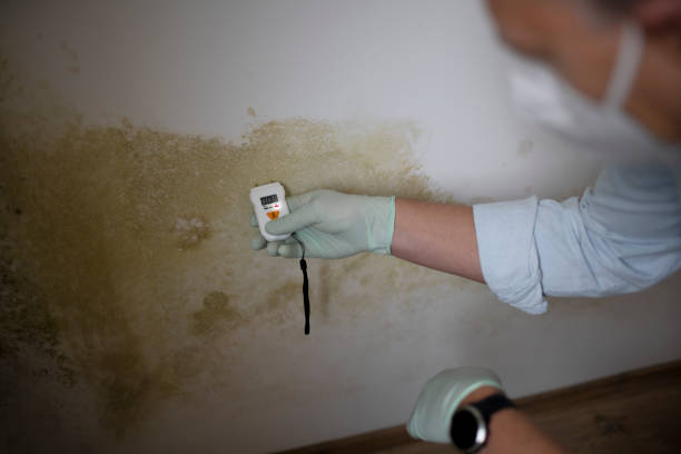 Water Damage Restoration in Rogers, TX