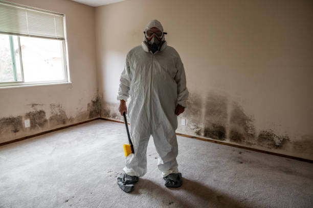 Best Crawl Space Mold Removal  in Rogers, TX